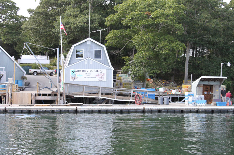 South Bristol Fishermen's Coop photos